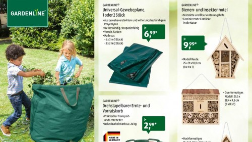 aldi2