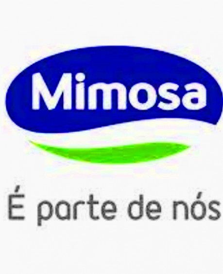 Publicidade Mimosa Pequeno Almoço